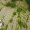 Landwirdschaft von oben